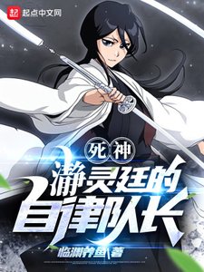(死神同人)死神:瀞靈廷的自律隊長